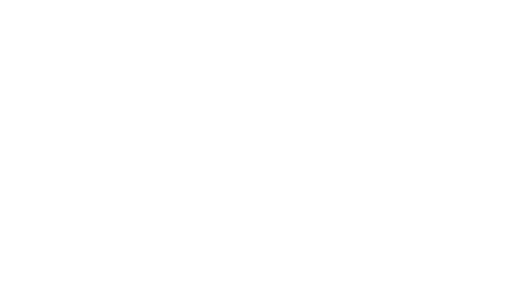 The Hustle